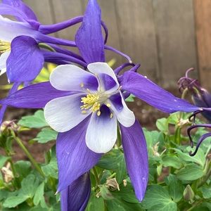 Meet your Posher, Vicki